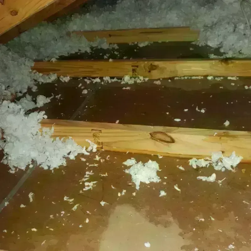 Attic Water Damage in Tooele, UT